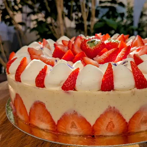 [ENT-FRS-VNL-10P-000] Fraisier